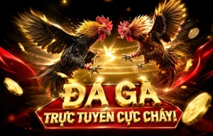 Giao diện sảnh Đá Gà f8bet80vin